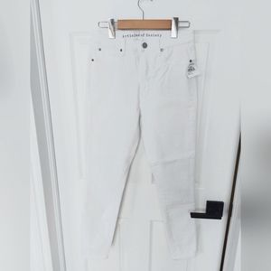 🆕️ NWT Articles of Society jeans